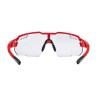 glasses FORCE AMOLEDO  red-grey photochromic lens