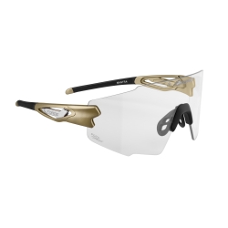 sunglasses FORCE MANTRA gold  photochromic lens