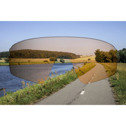 Force Sonnenbrille ELECTRA, weiß, braune verspiegelte Gläser